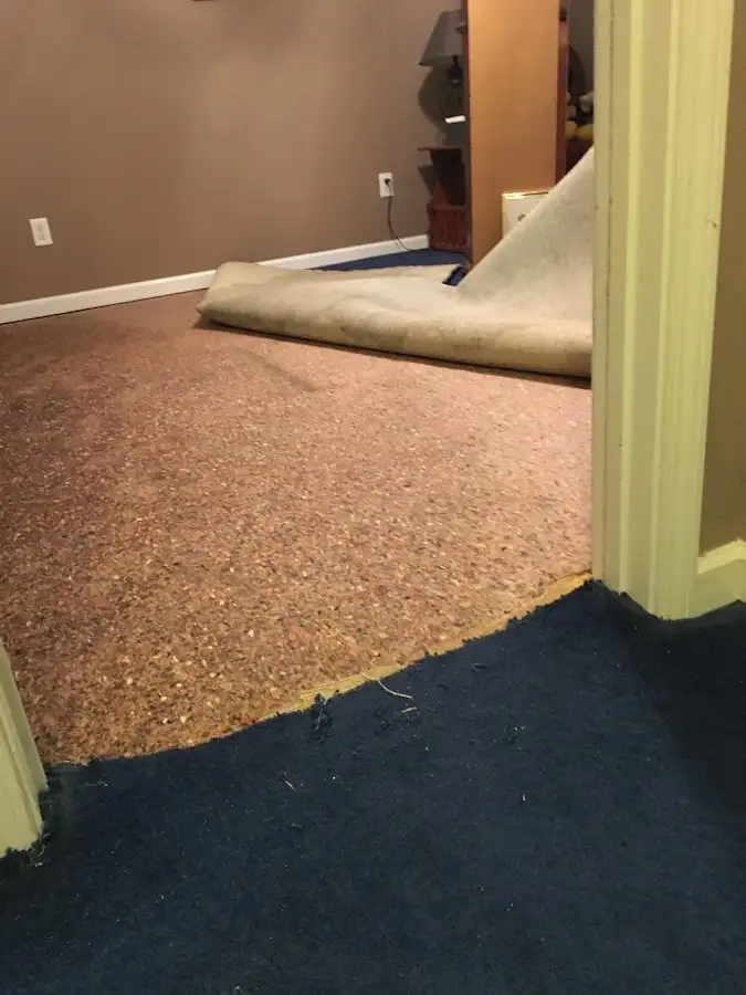 Carpet pad removal revealing water damage during Water Mitigation Services in Iowa Park